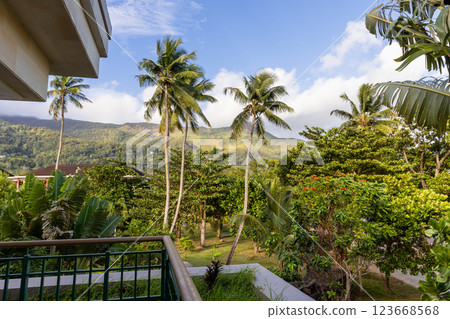 Serene view from a balcony showcasing lush tropical vegetation 123668568