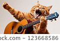 棕色虎斑貓彈吉他 123668586