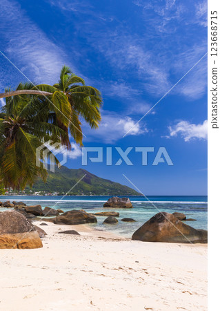 Serene tropical beach showcasing clear blue skies, coconut palm trees Serene tropical beach showcasing clear blue skies, coconut palm trees 123668715