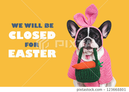 Happy Easter. Cute puppy and congratulatory inscription 123668801