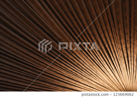 Visually striking close-up showcasing brown textured lines Visually striking close-up showcasing brown textured lines 123669062