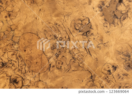 Burl wood showcasing its rich patterns and deep grains Burl wood showcasing its rich patterns and deep grains 123669064