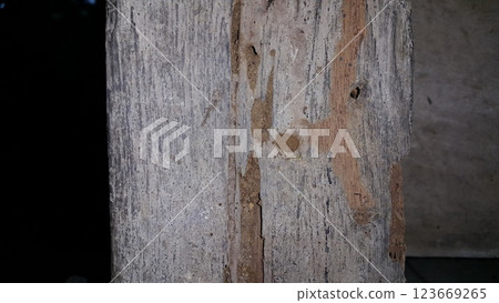The texture of wood that has been eaten by termites. The texture of wood that has been eaten by termites. 123669265