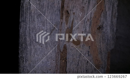 The texture of wood that has been eaten by termites. 123669267