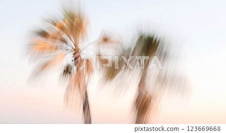 Abstract blurred palm trees against serene beach sunset, motion imitation background with copy space 123669668