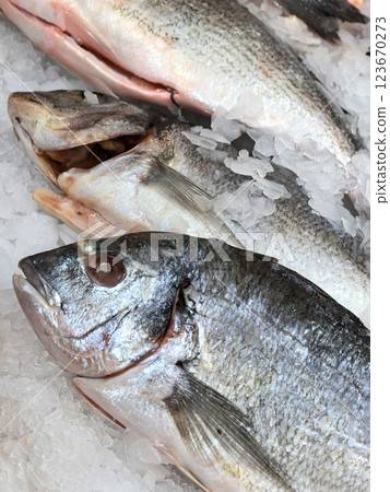 Fresh catch on ice showcasing the beauty of marine life in a market 123670273