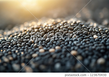Close-up of chia seeds with water absorption creating texture and depth variations Close-up of chia seeds with water absorption creating texture and depth variations 123670430