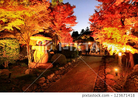 Autumn leaves shining in the evening sky... Illuminated temple trees Autumn leaves shining in the evening sky... Illuminated temple trees 123671418