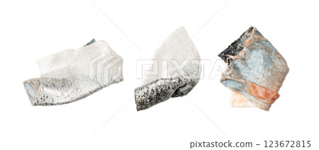 Salmon Skin Isolated, Asian Delicacy, Fish Skin Ready for Frying, Seafood Leftovers on White Background 123672815