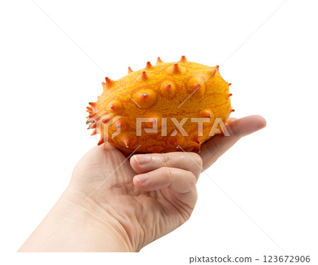 Kiwano isolated, jelly melon, cucumis metuliferus ripe fruit, orange horned melon, african horned cucumber 123672906