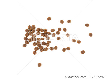 Dry pet food, dog kibble pile, puppy pellets, small canine protein croquette meal, animal food 123672928