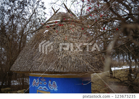Traditional Thatched Hut Traditional Thatched Hut 123673235