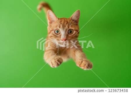 Dynamic photo capturing an orange tabby cat midleap against a vibrant green background, embodying the spirit of a fearless superhero Dynamic photo capturing an orange tabby cat midleap against a vibrant green background, embodying the spirit of a fearless superhero 123673438