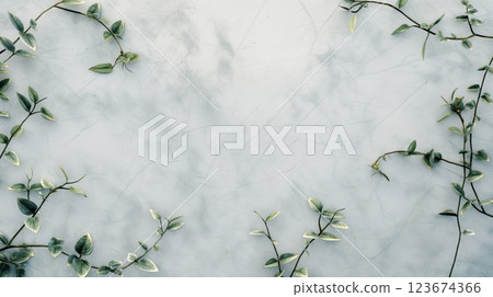 Minimalistic green vines frame the top of a cool marble texture, providing natural contrast 123674366