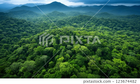 Aerial view capturing the dense, verdant expanse of a tropical rainforest 123674482