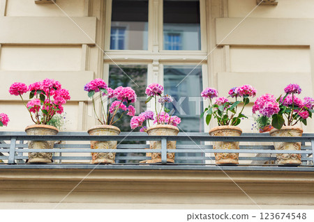 Vibrant pink hydrangeas bloom in elegant terracotta pots along charming balcony overlooking city street. Lush blossoms frame vintage facade, adding warm romantic flair to colorful summer cityscape Vibrant pink hydrangeas bloom in elegant terracotta pots along charming balcony overlooking city street. Lush blossoms frame vintage facade, adding warm romantic flair to colorful summer cityscape 123674548