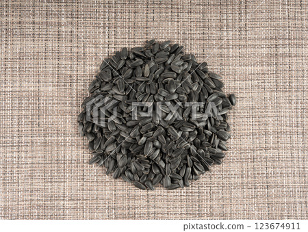 Sunflower seeds pile, black oil sun flower grains group with shell, fresh edible oil seeds heap 123674911