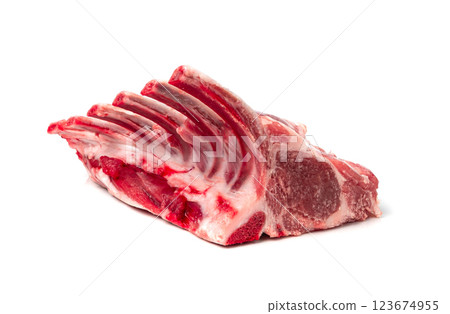 Raw lamb rack isolated, fresh mutton fillet with ribs, tenderloin pieces, mutton rump sirloin meat Raw lamb rack isolated, fresh mutton fillet with ribs, tenderloin pieces, mutton rump sirloin meat 123674955