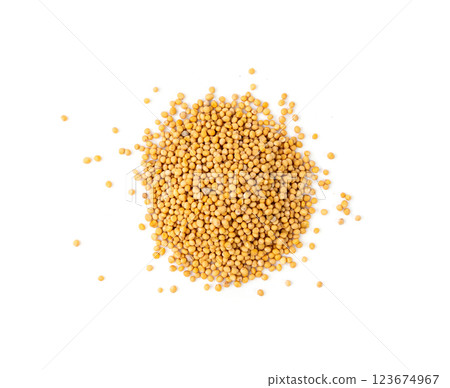 Mustard seeds isolated, dry yellow sinapis alba grains, mostarde balls on white background Mustard seeds isolated, dry yellow sinapis alba grains, mostarde balls on white background 123674967