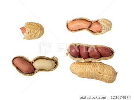 Peanuts Isolated, Roasted Arachis Nuts, Open Pea Nut, Whole Groundnut with Shell, Peanut on White 123674974
