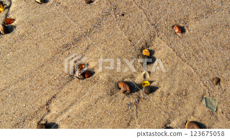 Amber stones on sea coast. Amber gems search on Baltic sea shore, fossilized tree resin crystals on sand Amber stones on sea coast. Amber gems search on Baltic sea shore, fossilized tree resin crystals on sand 123675058