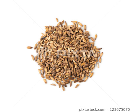 Milk thistle seeds, silybum marianum grains, dry blessed milkthistle fruits, variegated thistle kernels Milk thistle seeds, silybum marianum grains, dry blessed milkthistle fruits, variegated thistle kernels 123675070