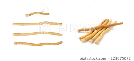 Miswak also known as Miswaak, Siwak, Sewak. Natural Wooden Toothbrush made of Salvadora Persica Tree 123675072