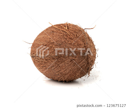 Whole coconut, one coco nut isolated, single fresh tropical palm fruit, natural milk, oil ingredient Whole coconut, one coco nut isolated, single fresh tropical palm fruit, natural milk, oil ingredient 123675127