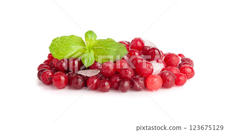 Frozen Lingonberry, Iced Cowberry, Snow Cranberry, Red Viburnum Berries, Frozen Lingonberry Frozen Lingonberry, Iced Cowberry, Snow Cranberry, Red Viburnum Berries, Frozen Lingonberry 123675129