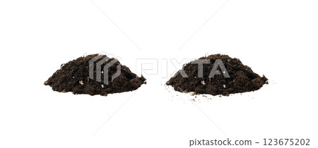 Succulent soil isolated. Dried dry dirt, ground pile, manure soil, arid dirt, natural black turf, dirty earth texture 123675202