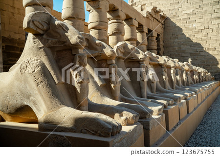 Egyptian Ancient Ram Sphinxes on Pedestals in Luxor 123675755