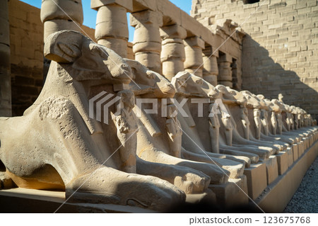 Egyptian ancient ram sphinxes on pedestals in Luxor in a row 123675768