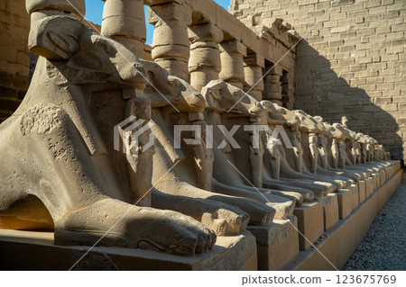 Egyptian ancient ram sphinxes on pedestals 123675769
