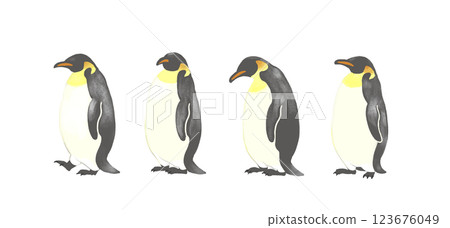 排成一列的企鵝 123676049