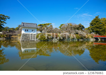 Odawara Castle's Corner Tower and Plum Blossoms in Full Bloom 123676061