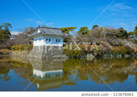 Odawara Castle's Corner Tower and Plum Blossoms in Full Bloom Odawara Castle's Corner Tower and Plum Blossoms in Full Bloom 123676062