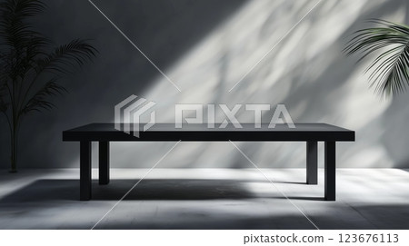A black table and a plant in the background. 123676113