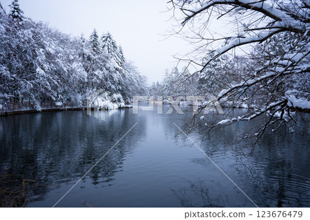 Karuizawa in winter: Snow-covered Kumoba Pond 123676479