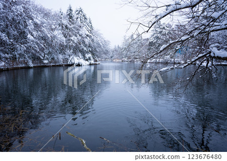 Karuizawa in winter: Snow-covered Kumoba Pond 123676480