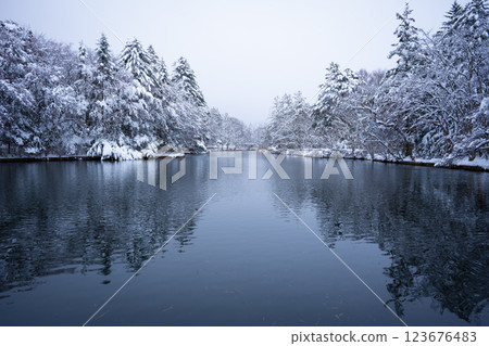 冬季的輕井澤:白雪皚皚的雲場池 冬季的輕井澤:白雪皚皚的雲場池 123676483