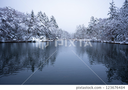 冬季的輕井澤:白雪皚皚的雲場池 冬季的輕井澤:白雪皚皚的雲場池 123676484