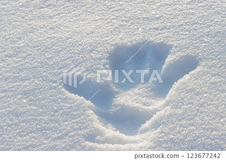 雪地裡留下的右手印 123677242