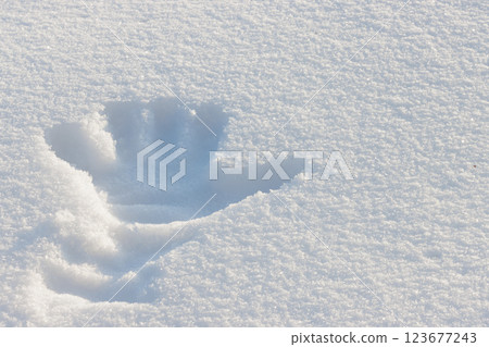 The imprint of the left hand in the snow 123677243
