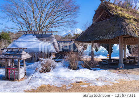 [Mt. Fuji material] Rime trees and scenery at the Lake Saiko Ice Festival [Yamanashi Prefecture] 123677311