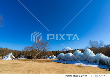 [Mt. Fuji material] Rime trees and scenery at the Lake Saiko Ice Festival [Yamanashi Prefecture] 123677342