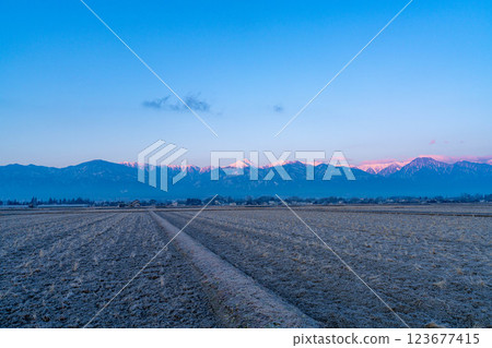 [Northern Alps Material] The Northern Alps dyed in the morning glow as seen from Azumino city in winter [Nagano Prefecture] 123677415