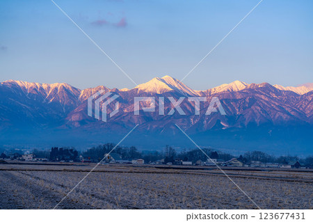 [Northern Alps Material] The Northern Alps dyed in the morning glow as seen from Azumino city in winter [Nagano Prefecture] 123677431