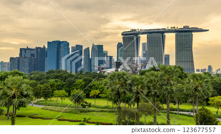 Downtown business district sunset skyline with lots of skyscrapers and green park in the foreground, Singapore 123677557