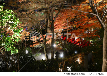 椿山莊的夜景:雲海 椿山莊的夜景:雲海 123677682