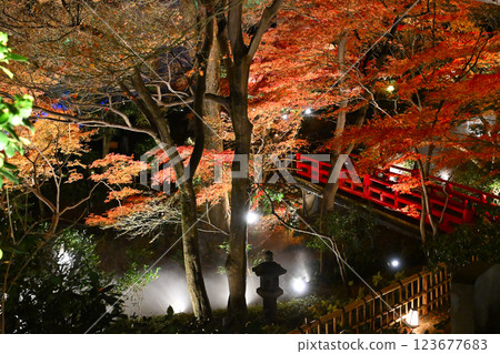 椿山莊的夜景：雲海 123677683